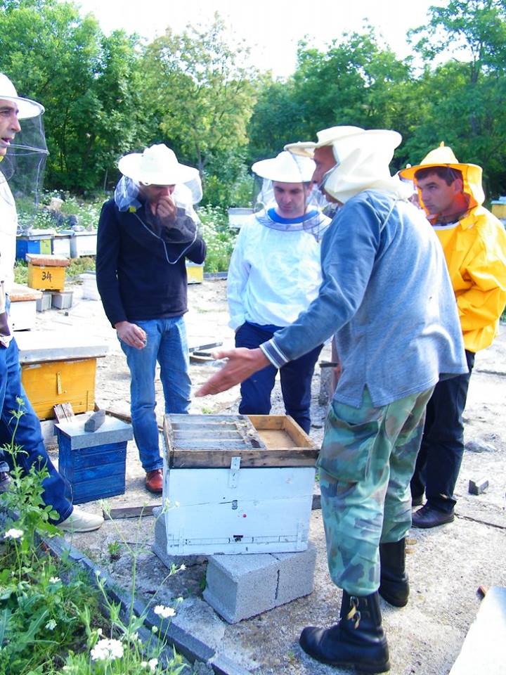 terenska edukacija pčelara