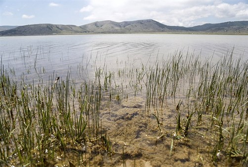 VRATILE SE PATKE: Blidinjsko jezero zablistalo u punom sjaju