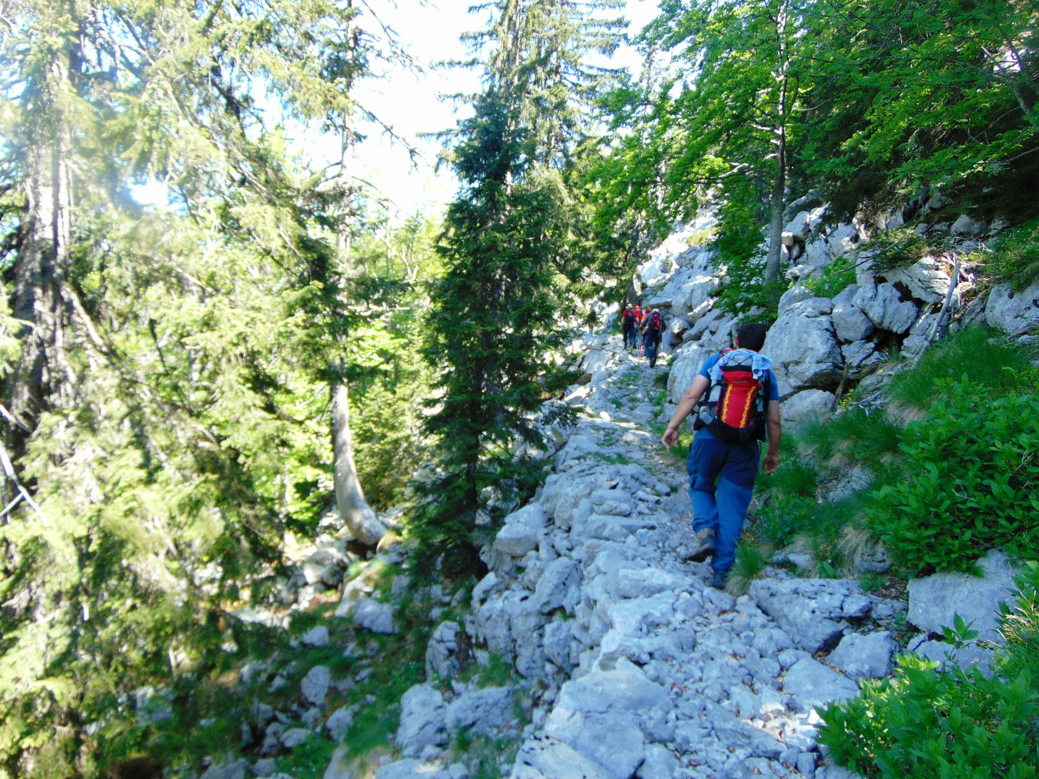07.03. – Međunarodni dan planinara