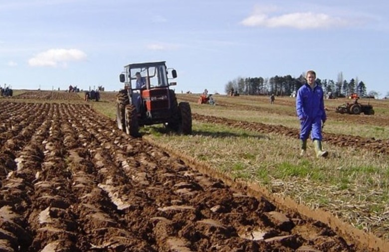 NISKA TEMPERATURA: Rani mraz prouzročio štetu poljodjelcima