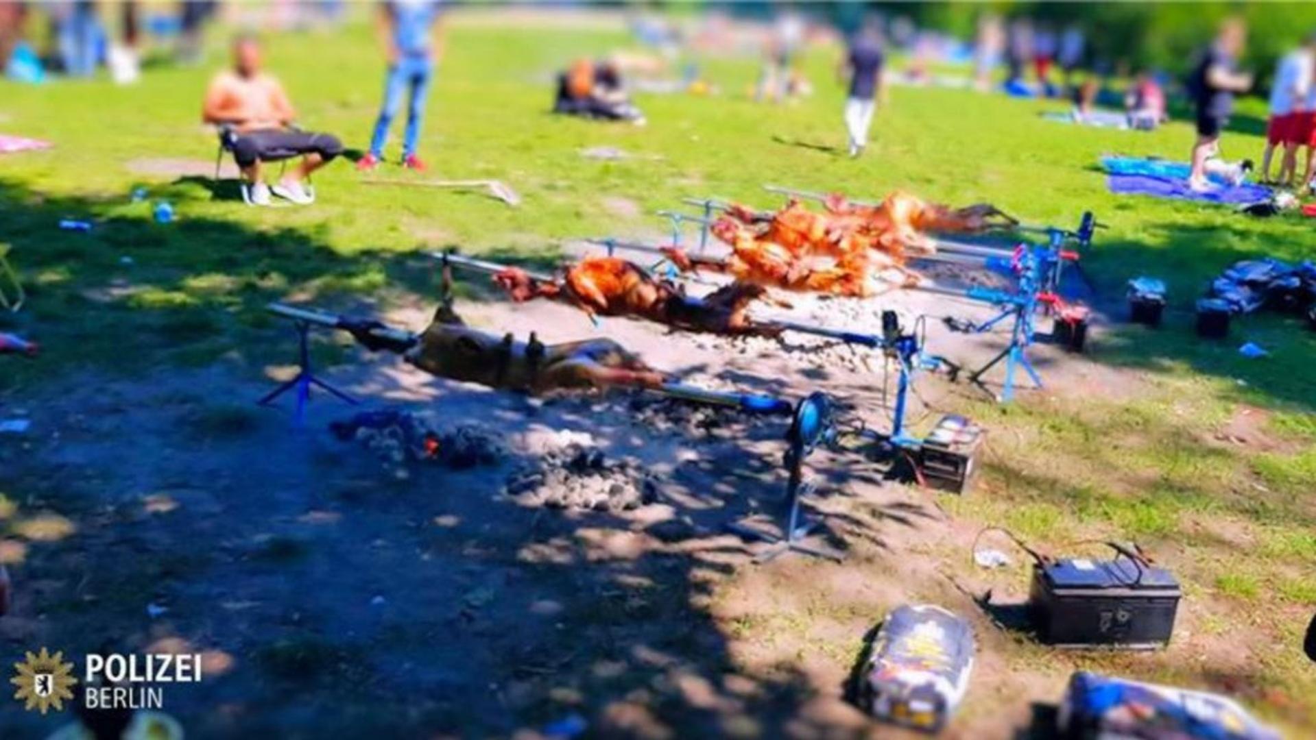 Žitelji Berlina šokirani: Državljani BiH okrenuli 12 janjaca u parku
