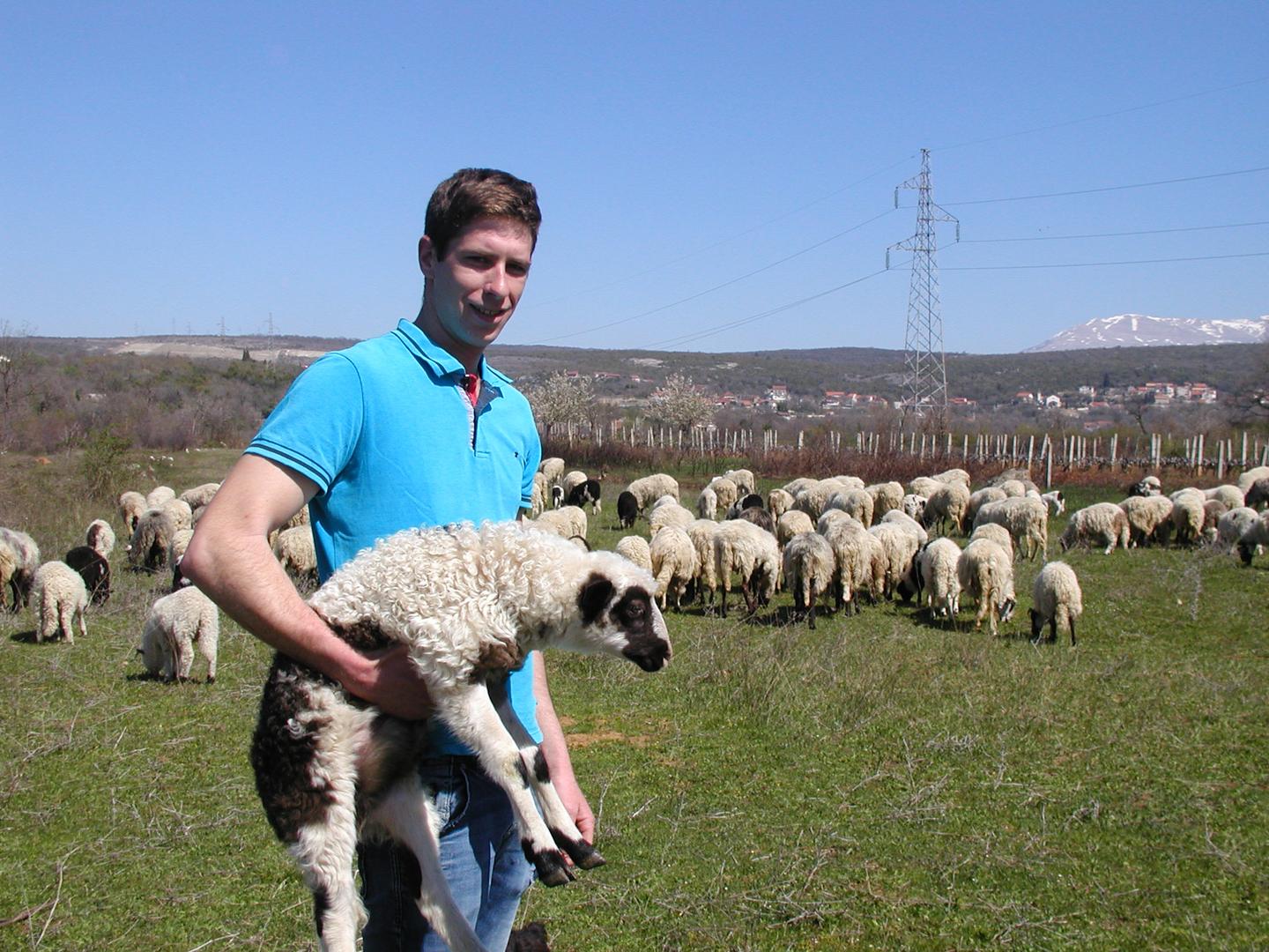 Jakovu su tek 24, a ima čak 200 ovaca, pet krava, vinograd od 3000 trsova i živi od svoga rada