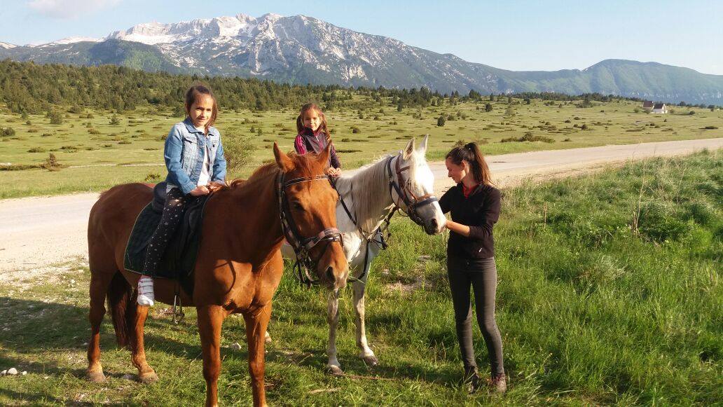 Divlji konji iz Livna i Kupresa u posuškoj Lekinoj Dragi