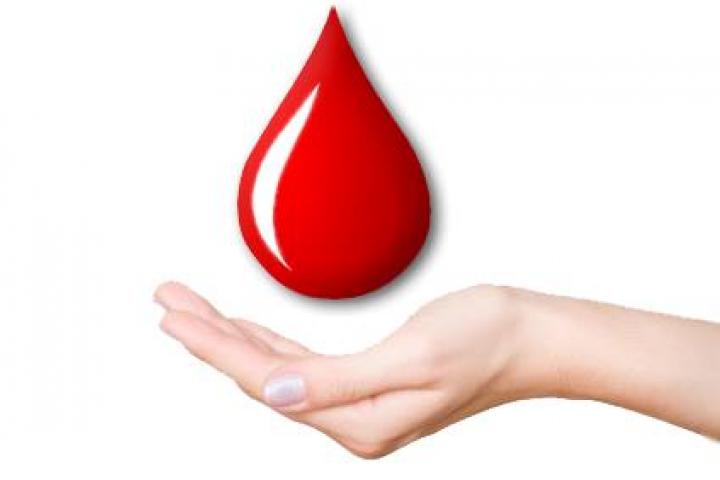 Rakitno: Posljednja ovogodišnja akcija dragovoljnog darivanja krvi
