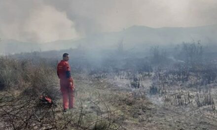 Izgorjelo oko 10 hektara Hutova blata, sumnja se da je požar podmetnut