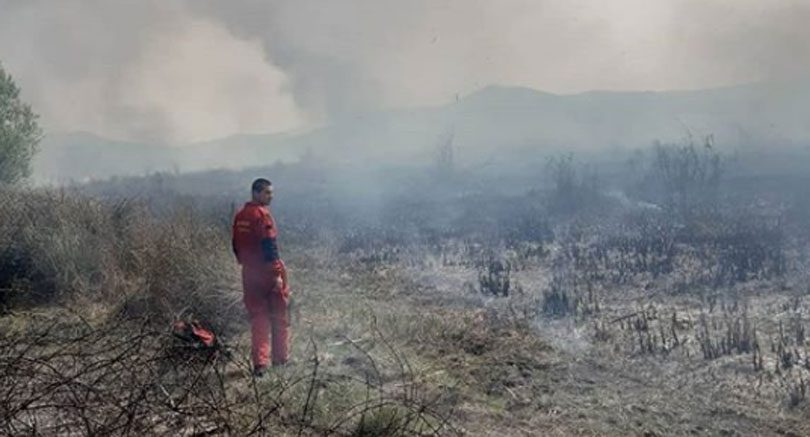 Izgorjelo oko 10 hektara Hutova blata, sumnja se da je požar podmetnut
