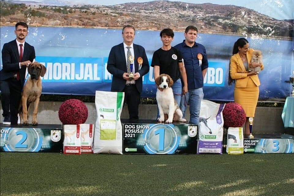 Izlagači iz više od 30 Zemalja sudjelovali na izložbi pasa u Posušju