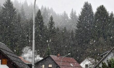 U dijelovima Hrvatske pada gust snijeg, pogledajte prizore…