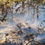 Proglašeno stanje prirodne nesreće zbog požara u PP Blidinje