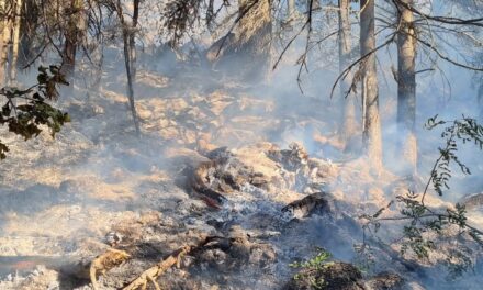 Proglašeno stanje prirodne nesreće zbog požara u PP Blidinje