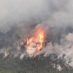 Šteta od šumskog požara na Blidinju procijenjena na više od milijun maraka