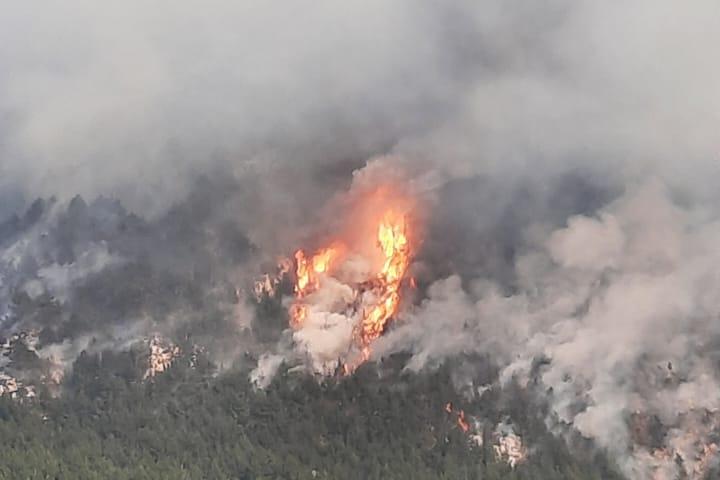 Šteta od šumskog požara na Blidinju procijenjena na više od milijun maraka