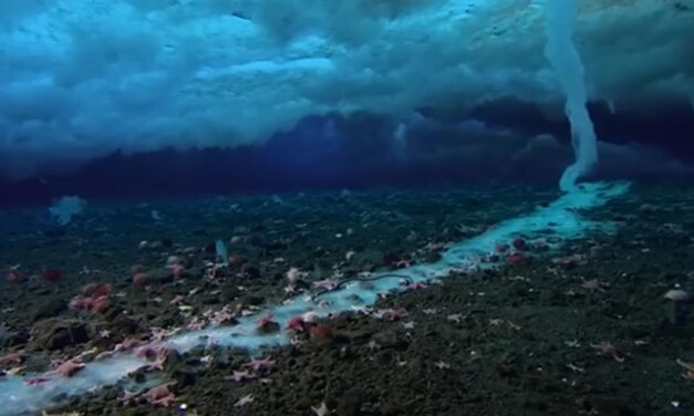 Rijedak fenomen snimljen pod vodom: Prelijep je, ali i smrtonosan