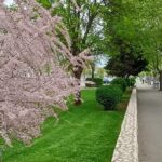 ŽZH u 2025. godini: 374 sklopljena braka, rođeno 919 djece i Posušje jedino bez razvoda!