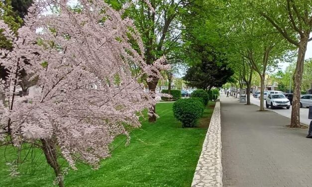 ŽZH u 2025. godini: 374 sklopljena braka, rođeno 919 djece i Posušje jedino bez razvoda!