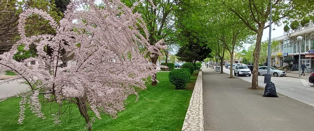 ŽZH u 2025. godini: 374 sklopljena braka, rođeno 919 djece i Posušje jedino bez razvoda! ŽZH u 2025. godini: 374 sklopljena braka, rođeno 919 djece i Posušje jedino bez razvoda!