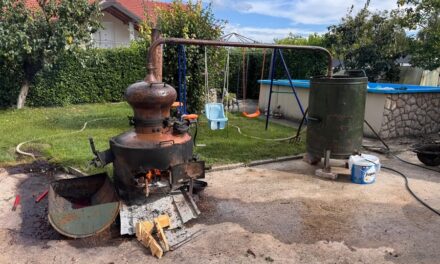 Jesenski radovi u Hercegovini: Berba grožđa, smokava i pečenje rakije