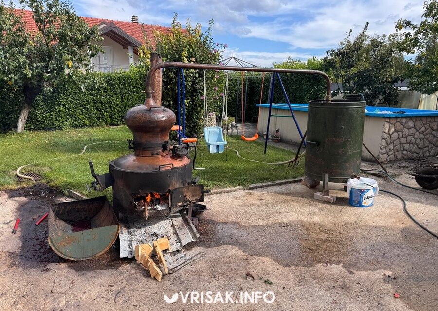 Jesenski radovi u Hercegovini: Berba grožđa, smokava i pečenje rakije