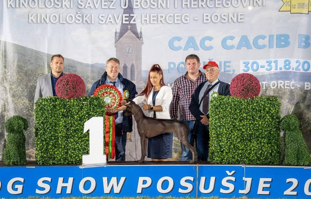 FOTO: Veliki broj izlagača iz 23 zemlje na izložbi pasa u Posušju