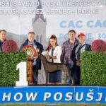 FOTO: Veliki broj izlagača iz 23 zemlje na izložbi pasa u Posušju