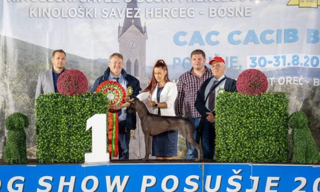 FOTO: Veliki broj izlagača iz 23 zemlje na izložbi pasa u Posušju