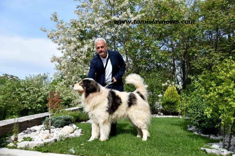 Učitelj iz Rakitna izradio gusle od plastičnog otpada, a poznati guslar Bakula ih isprobao, pa kaže:”Dobre!”