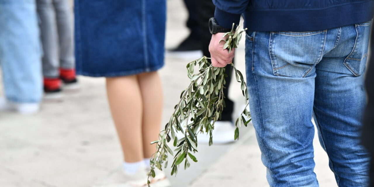 Danas je Cvjetnica, početak Velikog tjedna i spomen na Isusov svečani ulazak u Jeruzalem