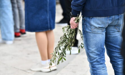 Danas je Cvjetnica, početak Velikog tjedna i spomen na Isusov svečani ulazak u Jeruzalem