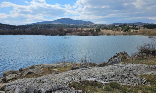 Planinari i ribolovci usponom na Ružički potok i čišćenjem oko Tribistova obilježili Svjetski dan voda