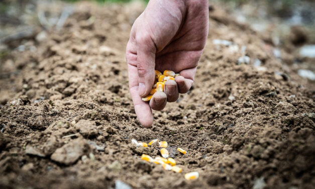 OPĆINA POSUŠJE OBJAVILA JAVNI POZIV ZA PODNOŠENJE PRIJAVA ZA SUFINANCIRANJE PROLJETNE SJETVE  2026. GODINE