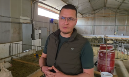 VIDEO Inspirativna priča iz Posušja: Četiri brata vode uspješnu farmu