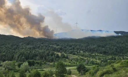 Borba s vatrom na Oštrcu traje cijelu noć: U pomoć stižu dodatne snage