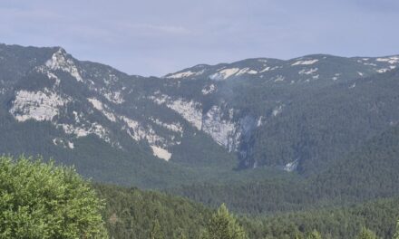 Udar groma izazvao požar na Čvrsnici: Vatrogasci i planinari na terenu, čeka se pomoć iz zraka
