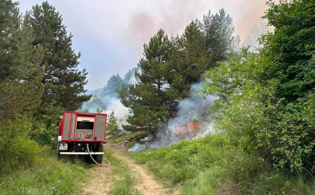 Požar kod Posušja pod kontrolom: Kiša pomogla vatrogascima, helikopter za sada neće djelovati