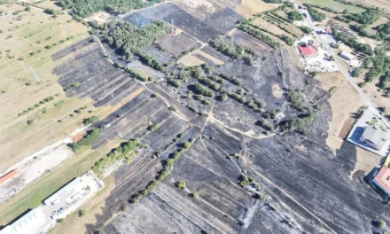 Veliki požar kod Posušja stavljen pod kontrolu: Vatra zahvatila 48 hektara