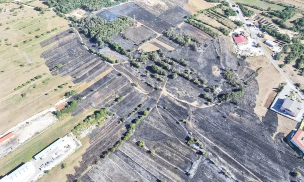 Veliki požar kod Posušja stavljen pod kontrolu: Vatra zahvatila 48 hektara