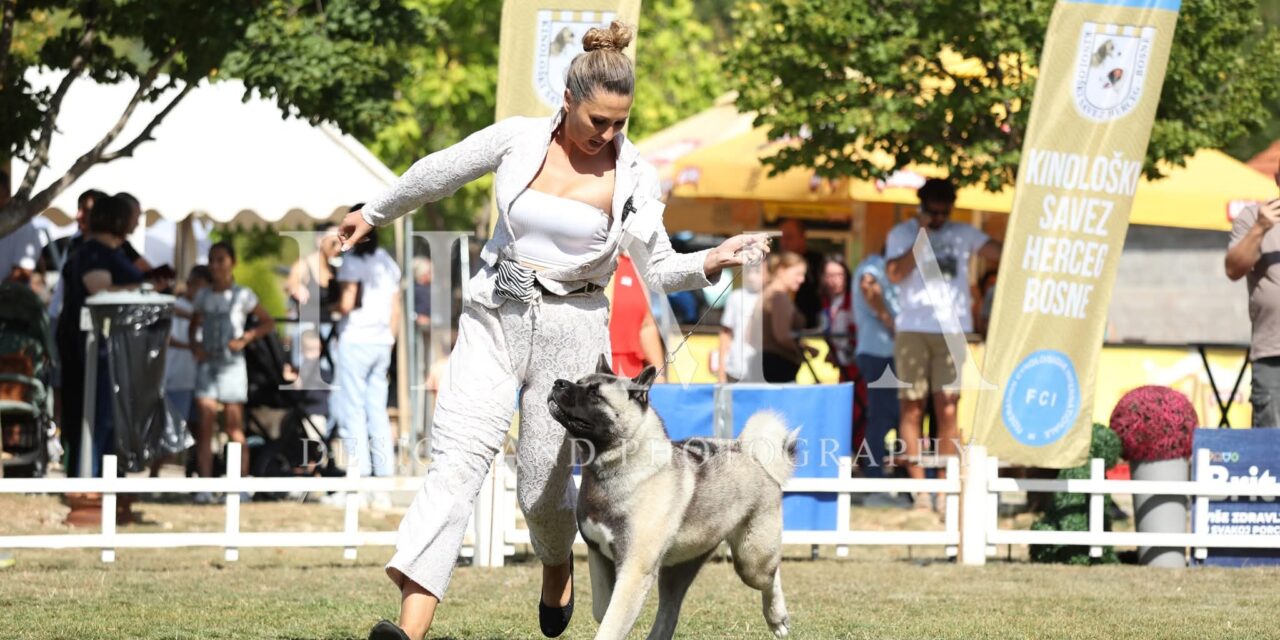 Dog Show Posušje opravdao epitet jedne od najveće izložbe pasa