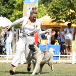 Dog Show Posušje opravdao epitet jedne od najveće izložbe pasa