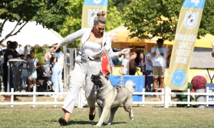 Dog Show Posušje opravdao epitet jedne od najveće izložbe pasa