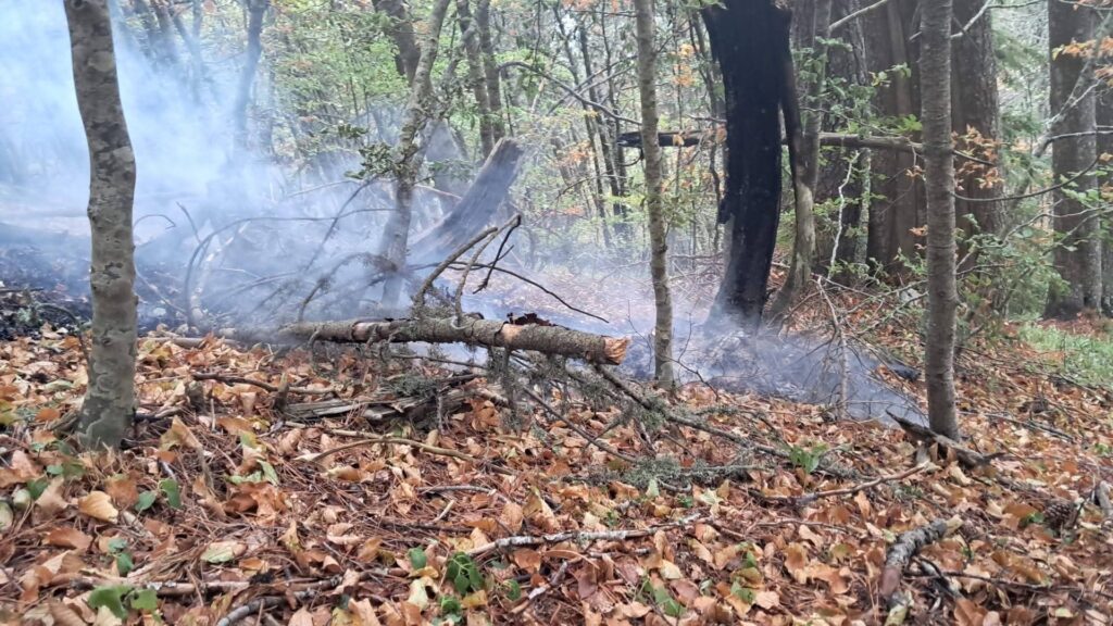 Požar u Masnoj Luci nakon grmljavinskog nevremena: Zatražena pomoć Air Tractora Požar u Masnoj Luci nakon grmljavinskog nevremena: Zatražena pomoć Air Tractora