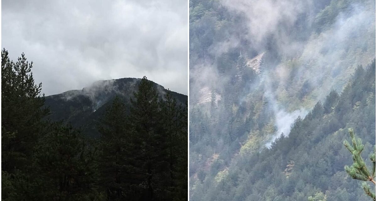 Požar u Masnoj Luci nakon grmljavinskog nevremena: Zatražena pomoć Air Tractora