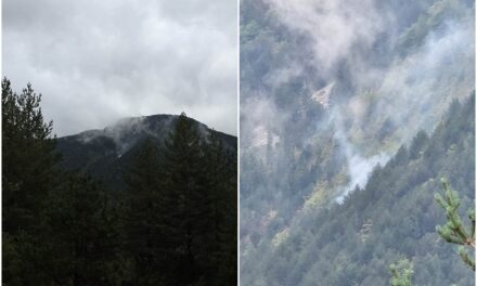Požar u Masnoj Luci nakon grmljavinskog nevremena: Zatražena pomoć Air Tractora