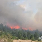 Buknuo novi požar na Blidinju: Vatra zahvatila vikendice, gori borova šuma