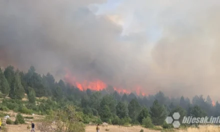 Buknuo novi požar na Blidinju: Vatra zahvatila vikendice, gori borova šuma
