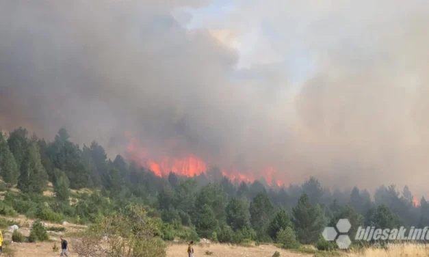 Buknuo novi požar na Blidinju: Vatra zahvatila vikendice, gori borova šuma