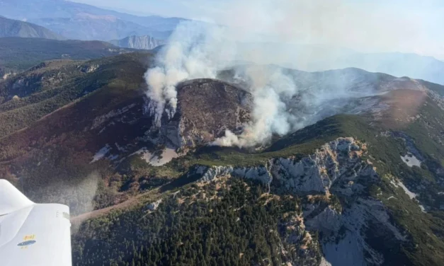 Požar na Čvrsnici širi se na Mali Vilinac i prema Risovcu